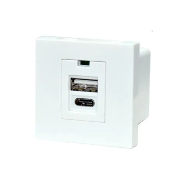 I-Dual Port TypeA+C ye-Usb Charger Socket Module